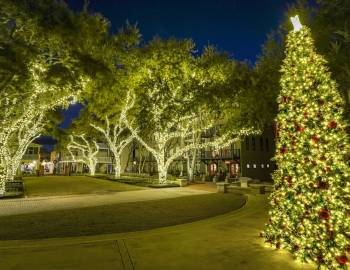Seaside Christmas lights.