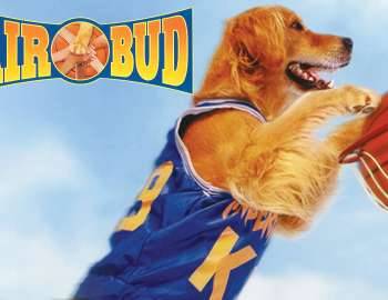 Air Bud Teaser