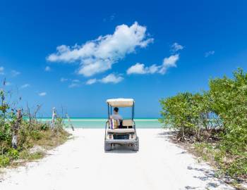 Seaside FL Concierge Services - Eco Tours