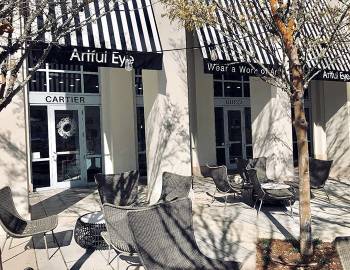 Artful Eye
