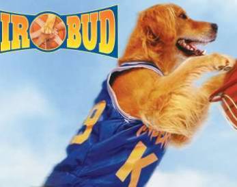 Air Bud Teaser Air Bud Teaser