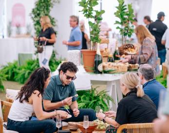 Seeing Red Wine Festival Seeing Red Wine Festival