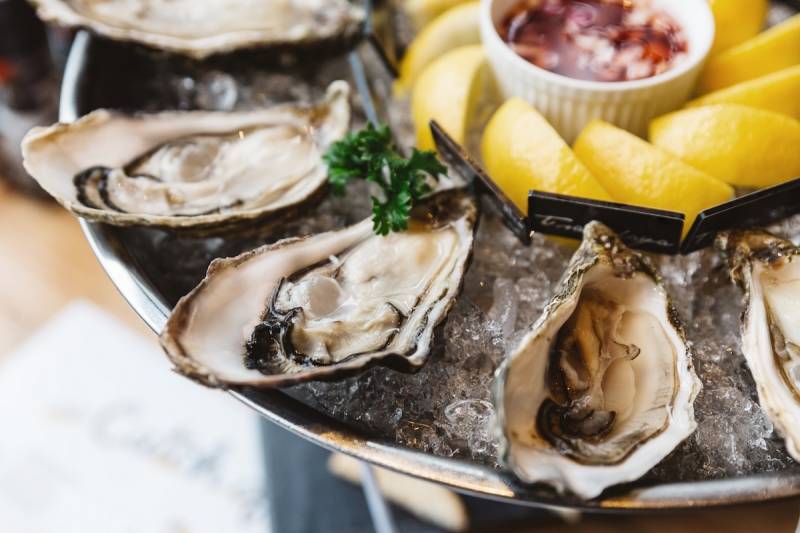 oyster
