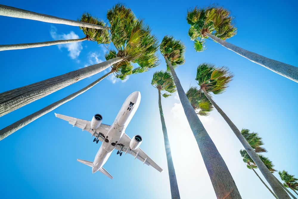 airplane in the sky